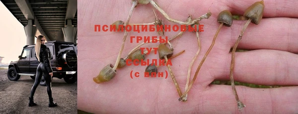 СК Аркадак