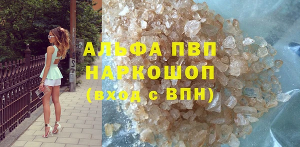СК Аркадак