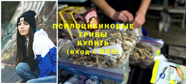 гидра Армянск