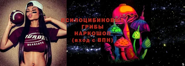 гидра Армянск