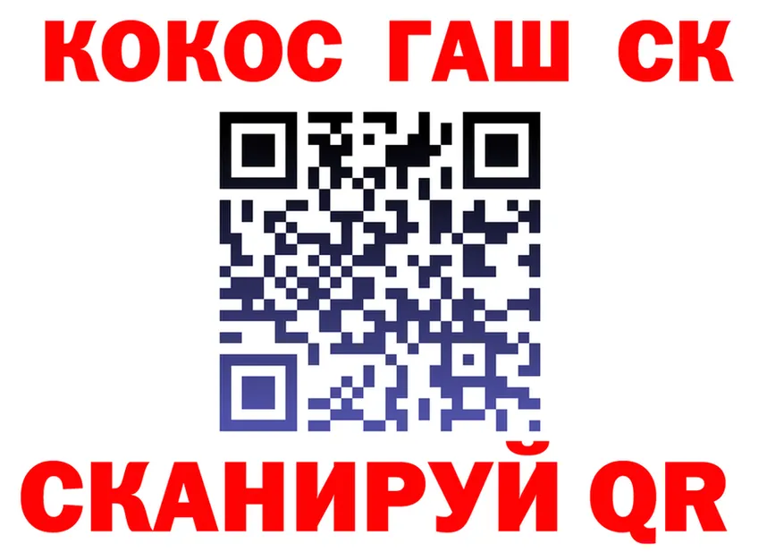 ГАШ убойный маркетплейс это МЕГА Курильск