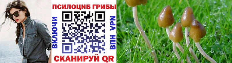OMG как зайти  закладки  Курильск  Галлюциногенные грибы GOLDEN TEACHER 